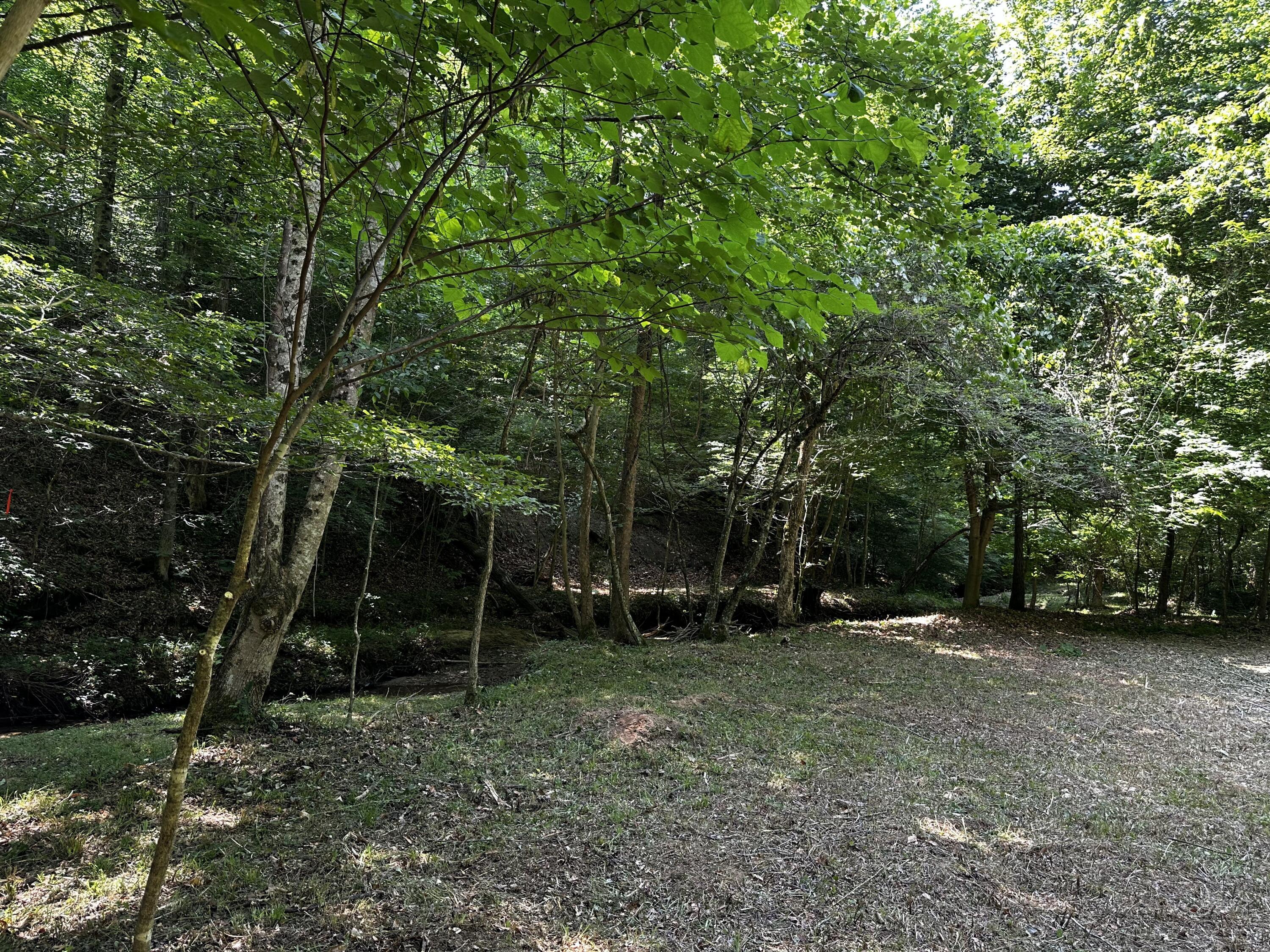 1101 Hull Road, Unit TRACT 9 WOODS WAYNE FOREST) Patriot, OH 45658 - Photo 5 of 61 5