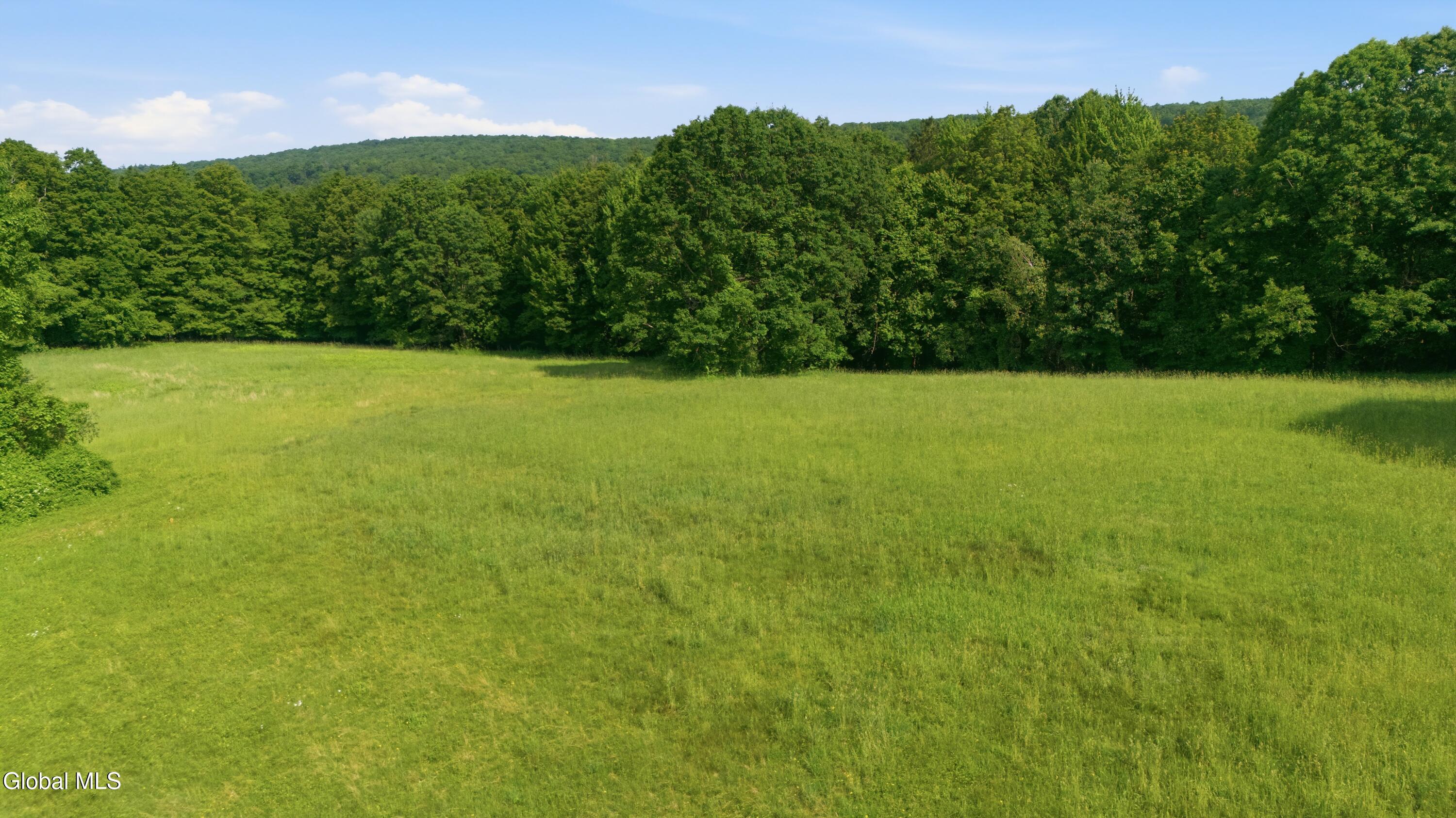 184 Hillview Road Gloversville, NY 12078 - Photo 57 of 60 184HillviewRd_036