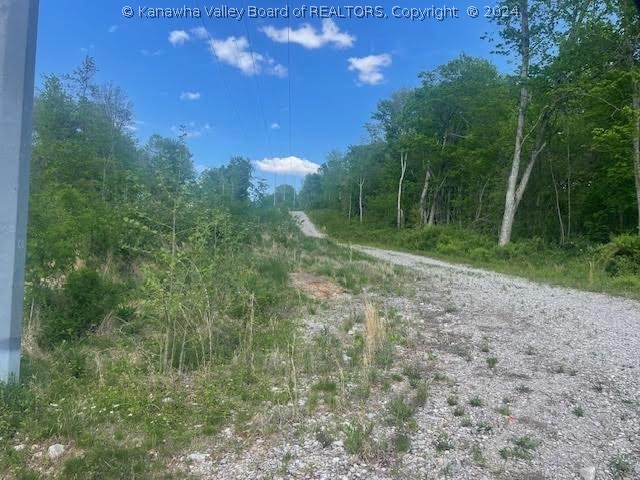 0 Rt 62 Road Millwood, WV 25262 - Photo 2 of 13 Gallery Image 2