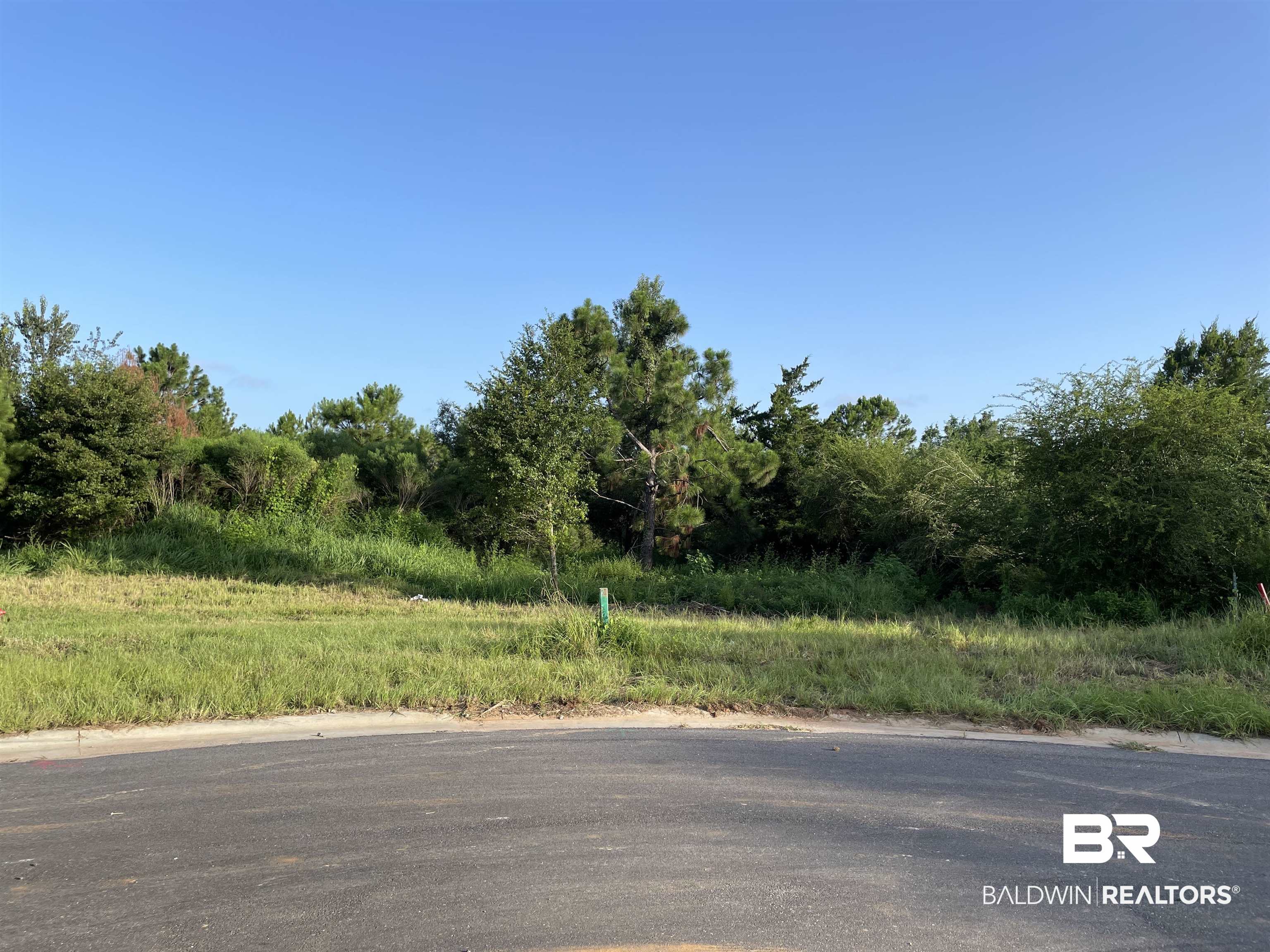 0 Makaira Drive Foley, AL 36535 - Photo 7 of 33