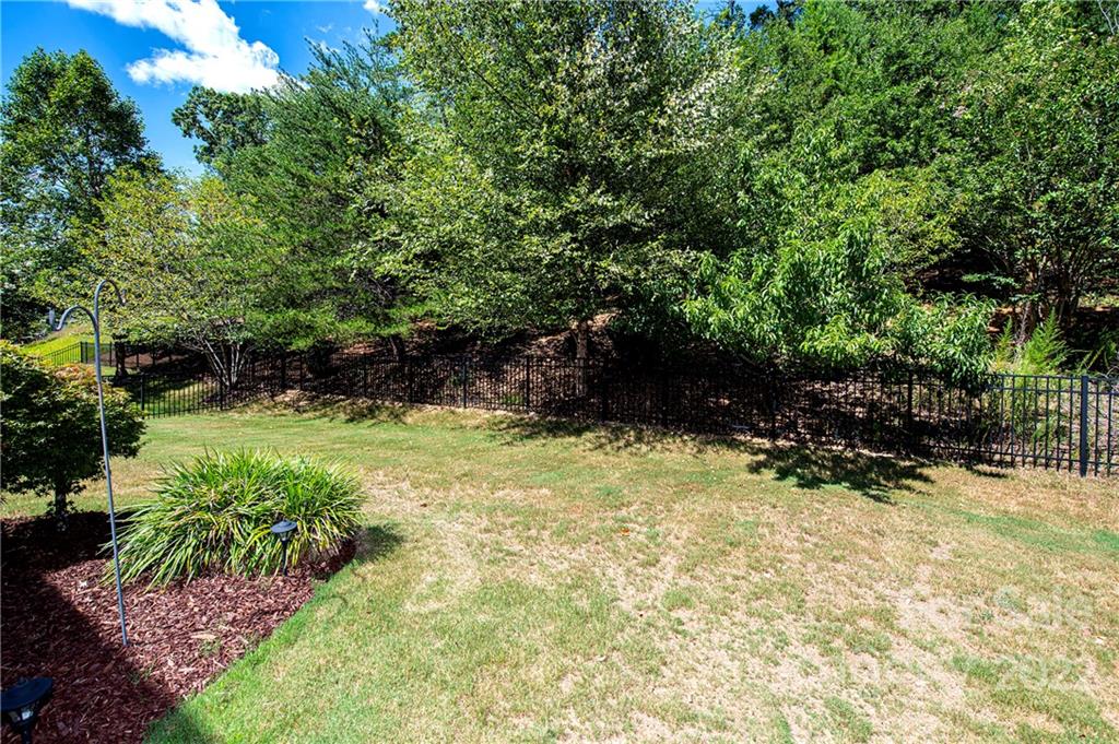 249 Catoctin Road Rock Hill, SC 29732 - Photo 28 of 30 a view of outdoor space and garden