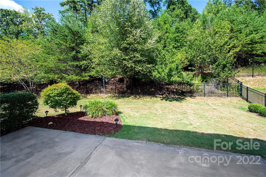 249 Catoctin Road Rock Hill, SC 29732 - Photo 3 of 30 a view of a yard with plants