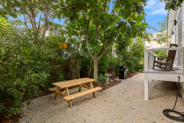 a view of backyard with palm tree