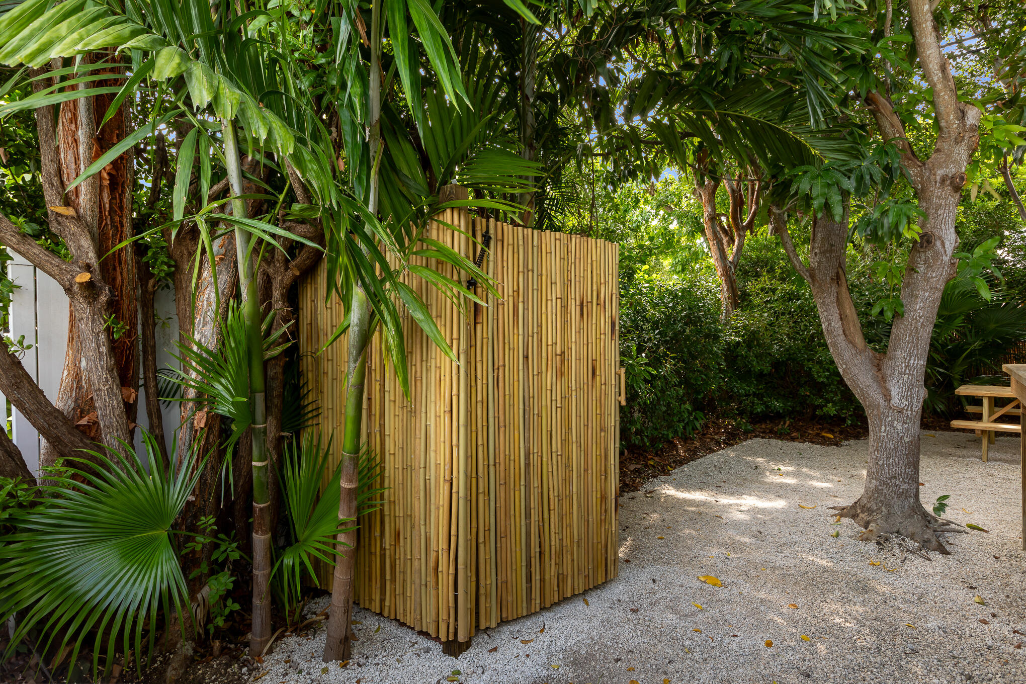 2214 Seidenberg Avenue Key West, FL 33040 - Photo 37 of 37 a view of backyard with palm tree