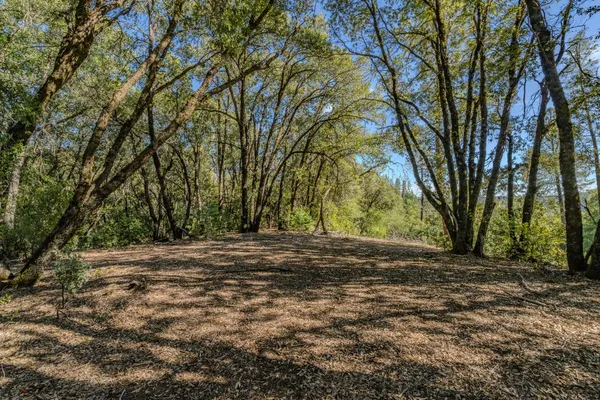 a view of a backyard with large trees