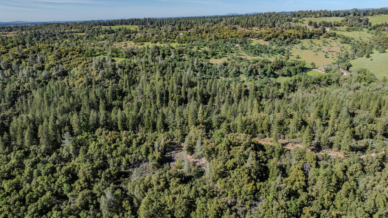 16490 Ponderosa Way Volcano, CA 95689 - Photo 14 of 21 a view of a forest with a street