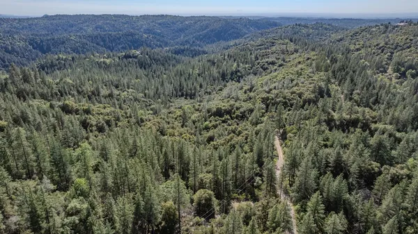 a view of a dry field with trees
