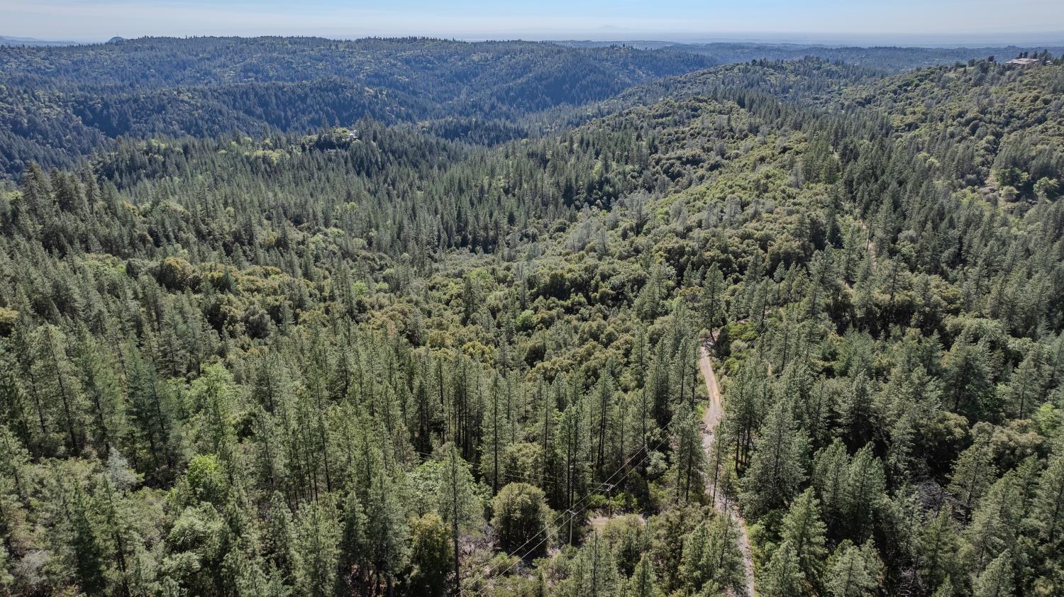 16490 Ponderosa Way Volcano, CA 95689 - Photo 17 of 21 a view of a dry field with trees