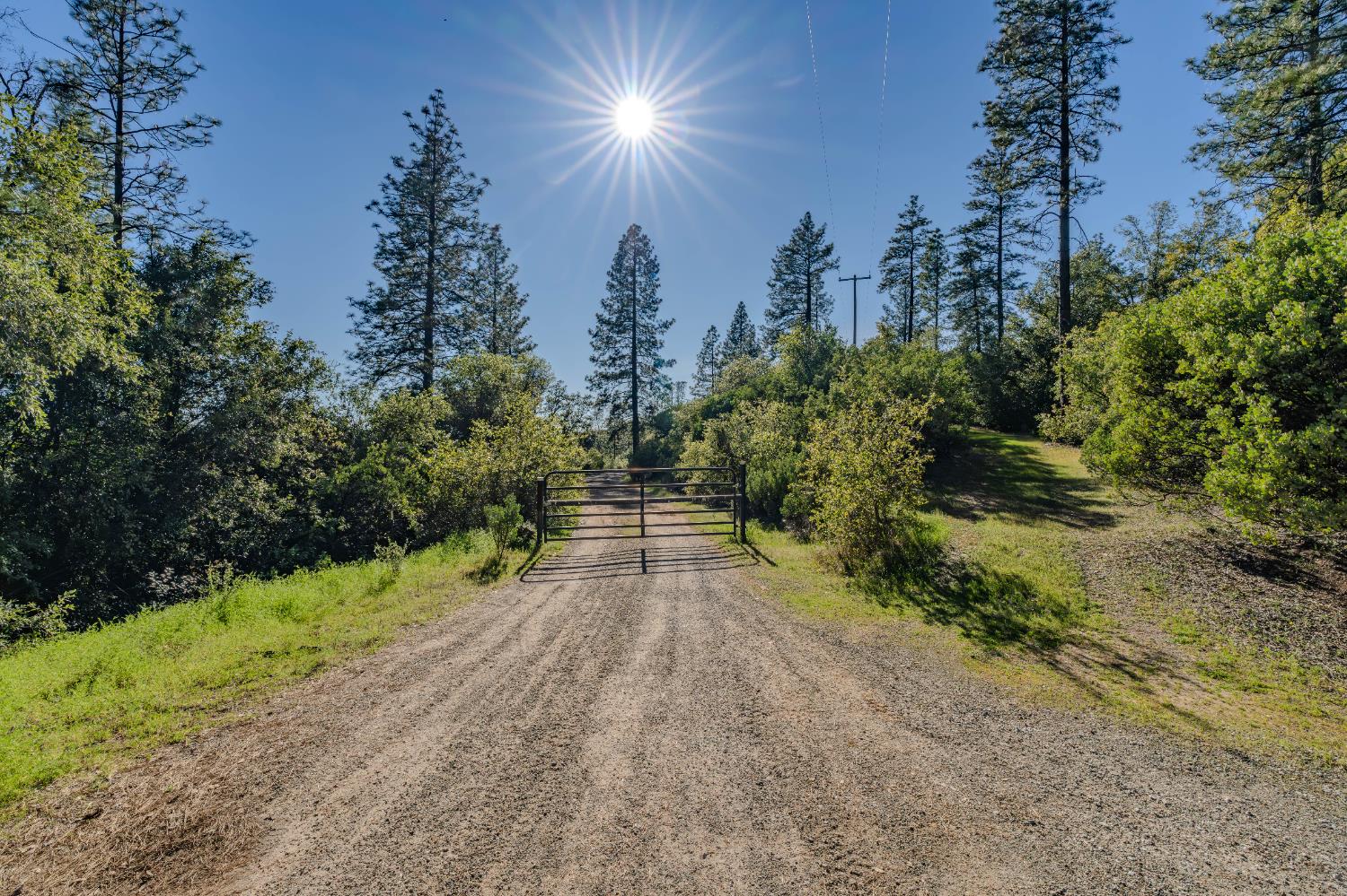 16490 Ponderosa Way Volcano, CA 95689 - Photo 3 of 21 a view of outdoor space and yard
