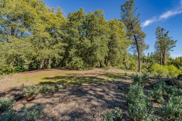 a view of dirt yard with a trees