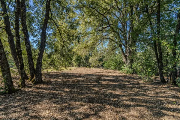 a view of outdoor space with trees