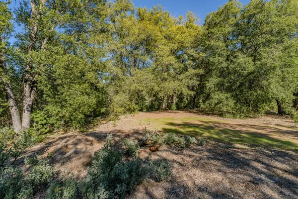 a view of a yard with a tree