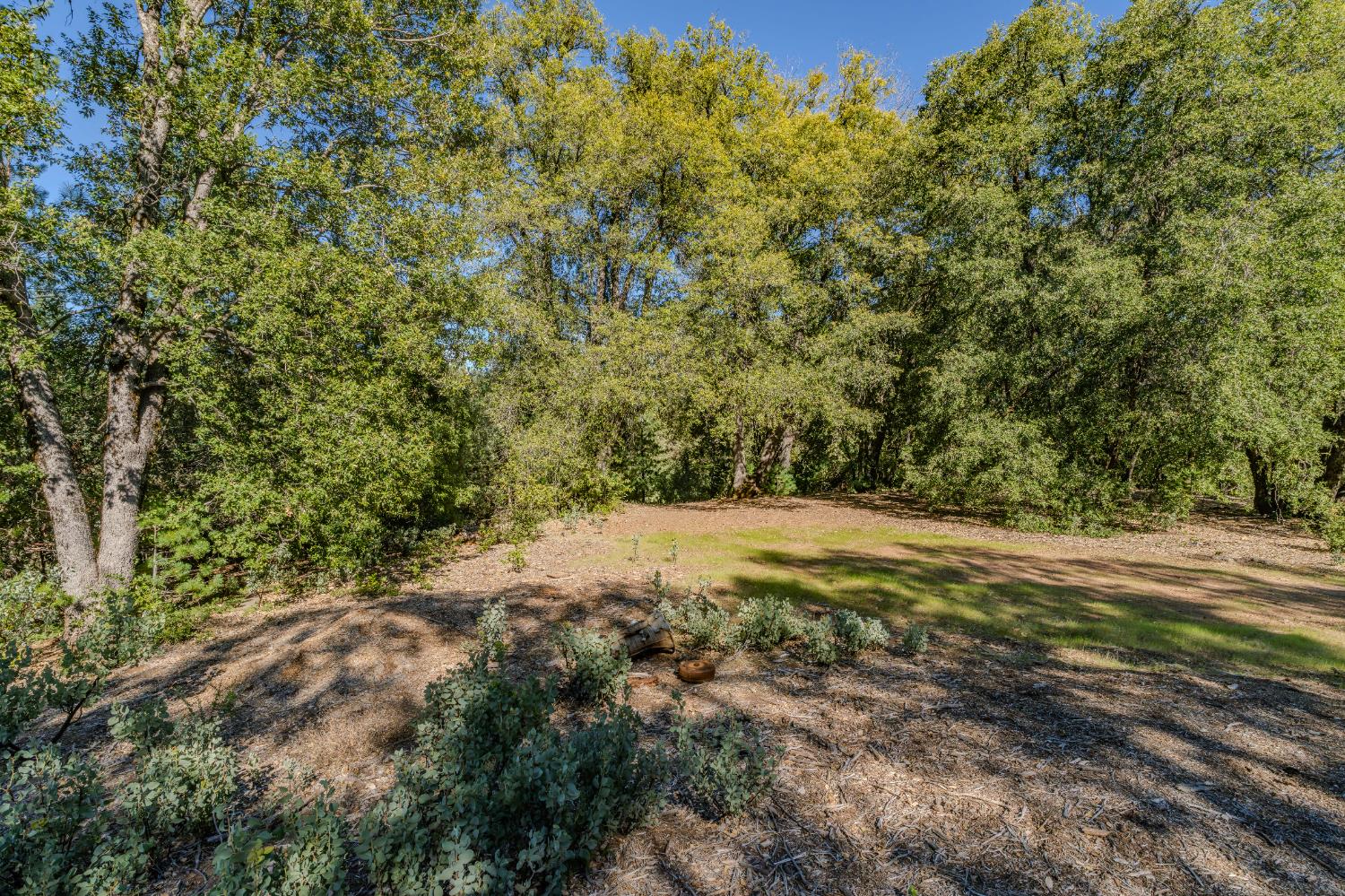 16490 Ponderosa Way Volcano, CA 95689 - Photo 7 of 21 a view of a yard with a tree