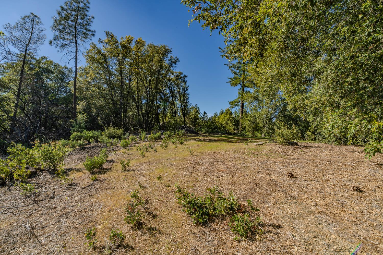 16490 Ponderosa Way Volcano, CA 95689 - Photo 8 of 21 a view of outdoor space and yard