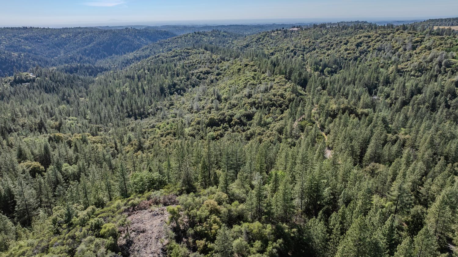 16490 Ponderosa Way Volcano, CA 95689 - Photo 9 of 21 a view of a forest with a street