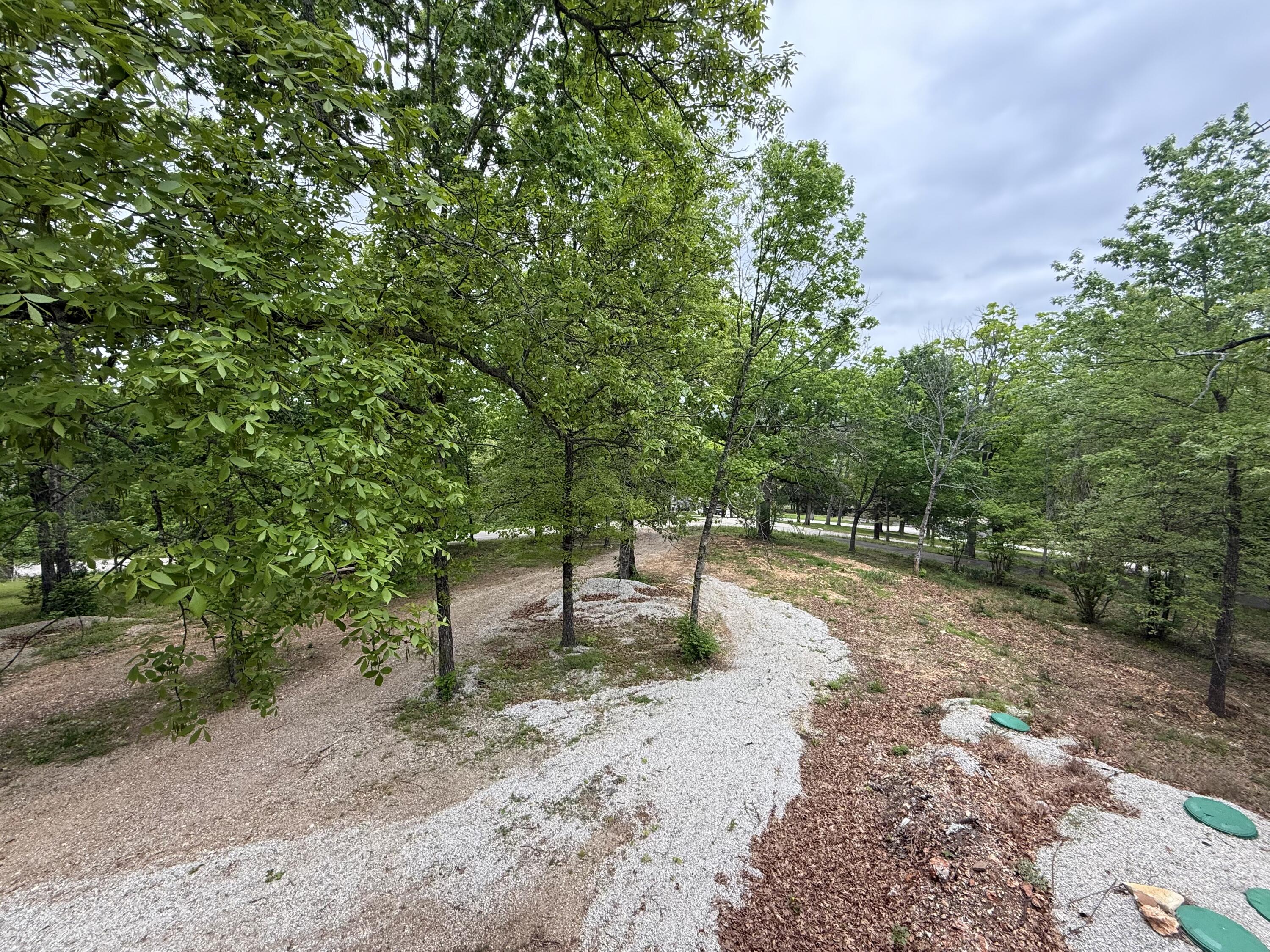 148 Crooked Tree Road Galena, MO 65656 - Photo 23 of 24 IMG_4201