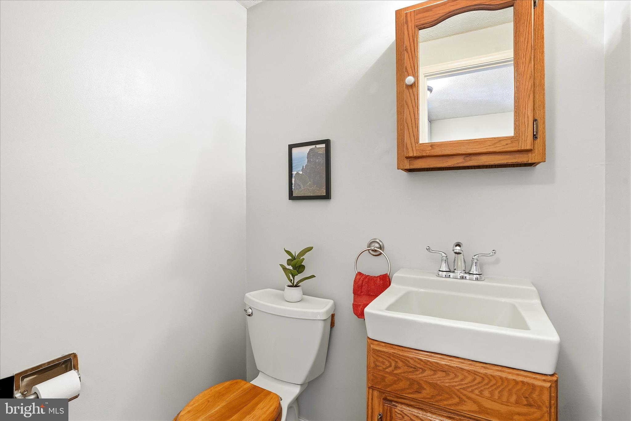76 Hook Road Westminster, MD 21157 - Photo 13 of 38 a bathroom with a toilet a sink and a mirror