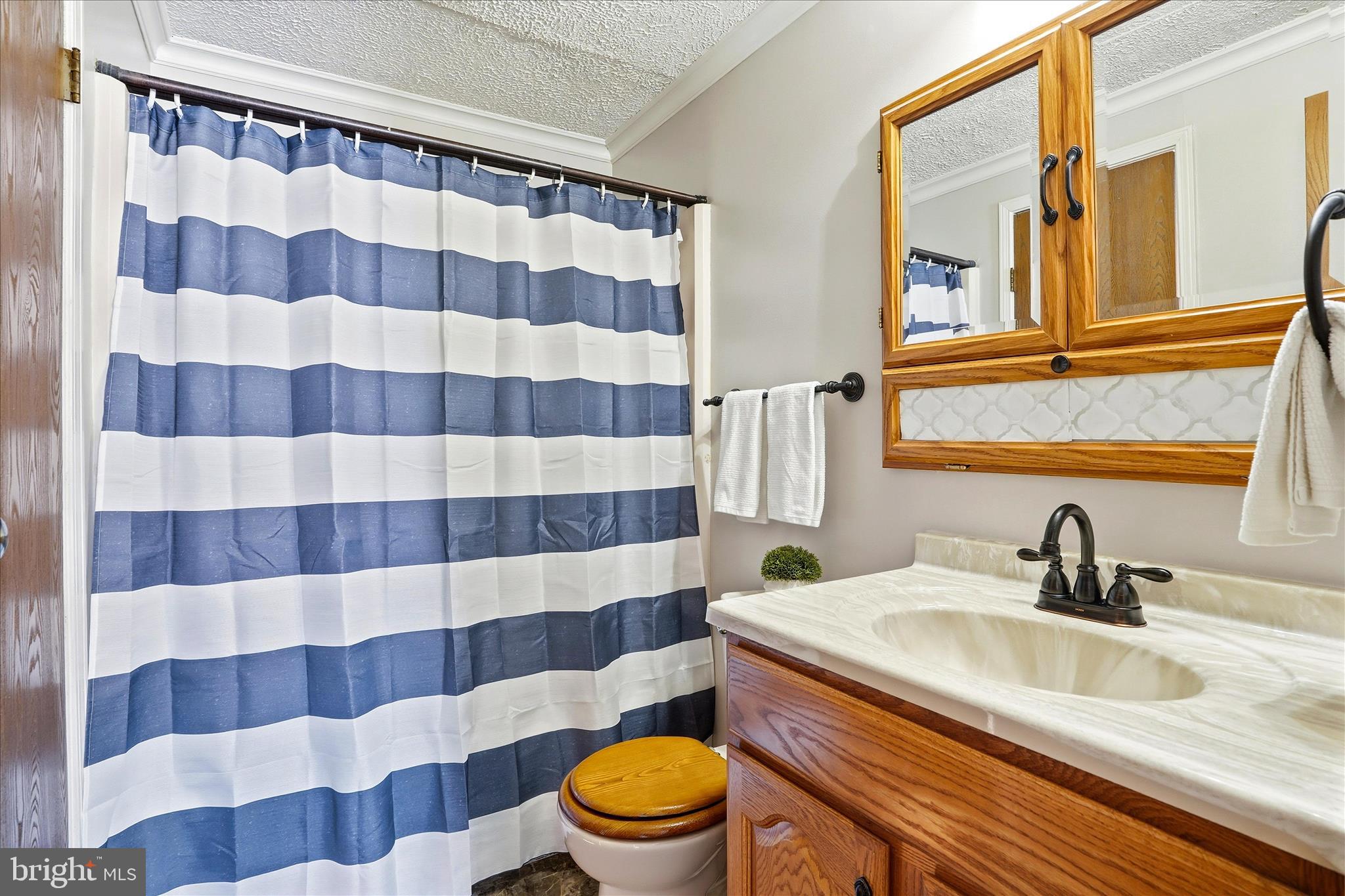 76 Hook Road Westminster, MD 21157 - Photo 19 of 38 a bathroom with a sink a toilet a mirror and shower
