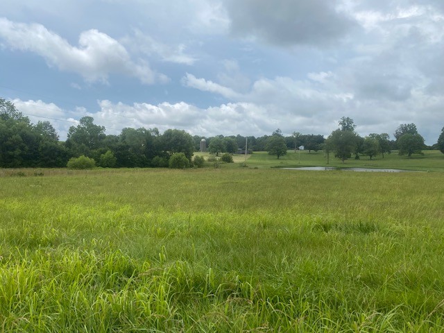 0 Greens Mill Road Spring Hill, TN 37174 - Photo 1 of 18 a view of a field with an ocean