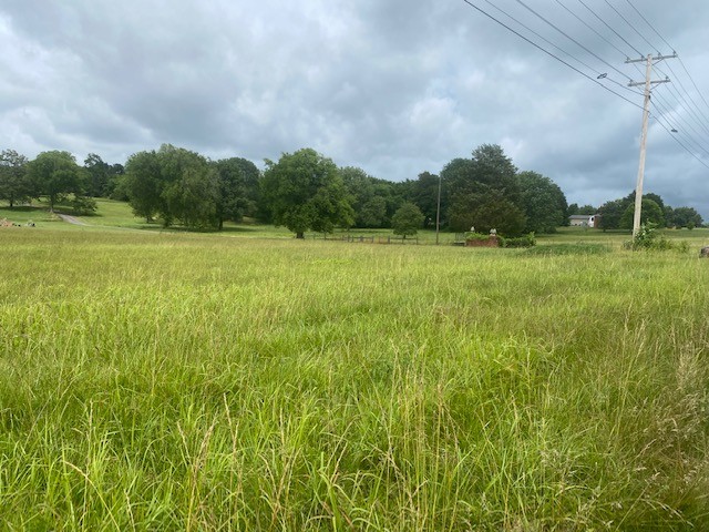 0 Greens Mill Road Spring Hill, TN 37174 - Photo 11 of 18 a view of an outdoor space and a yard