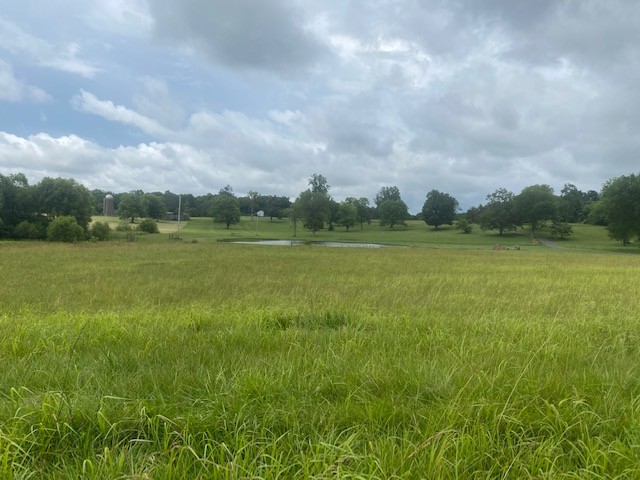 0 Greens Mill Road Spring Hill, TN 37174 - Photo 3 of 18 a view of a field with an ocean