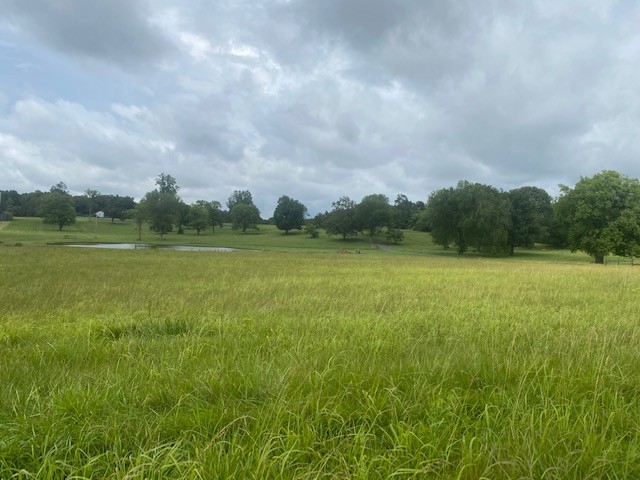 0 Greens Mill Road Spring Hill, TN 37174 - Photo 4 of 18 a view of a lake with houses in the back