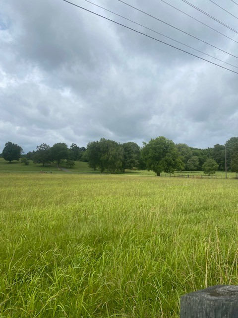 0 Greens Mill Road Spring Hill, TN 37174 - Photo 5 of 18 a view of lake with green space
