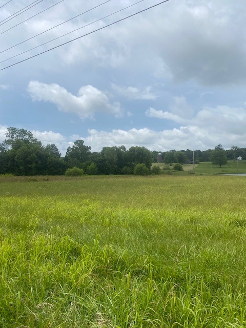 0 Greens Mill Road Spring Hill, TN 37174 - Photo 7 of 18 a view of a lake with a big yard