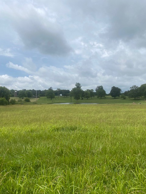 0 Greens Mill Road Spring Hill, TN 37174 - Photo 8 of 18 a view of a lake with a big yard