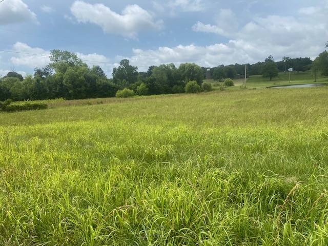 0 Greens Mill Road Spring Hill, TN 37174 - Photo 9 of 18 a view of a green field with wooden fence