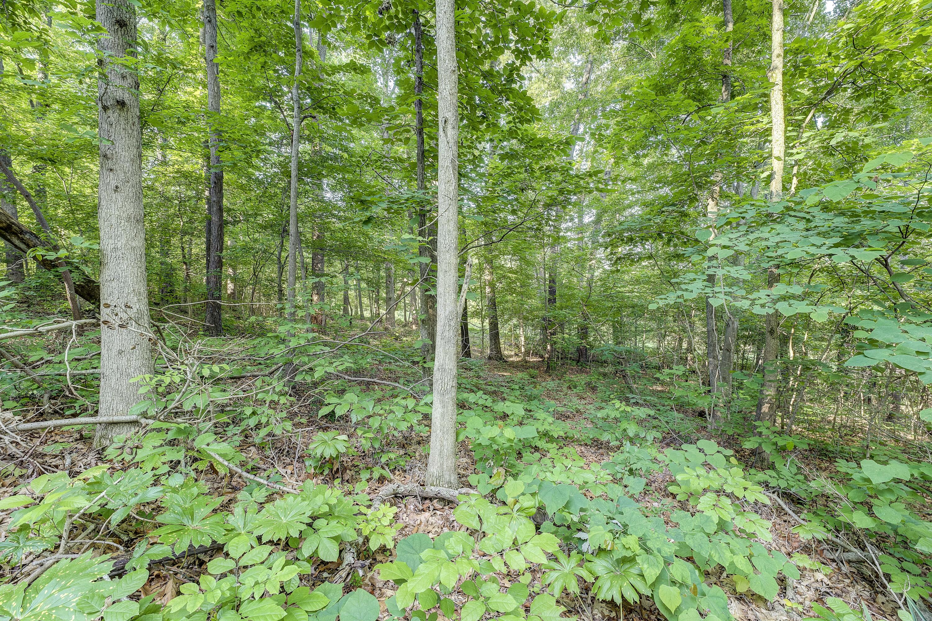 Tbd Highland Road, Unit 16 Jonesborough, TN 37659 - Photo 1 of 19 highland-ground-4