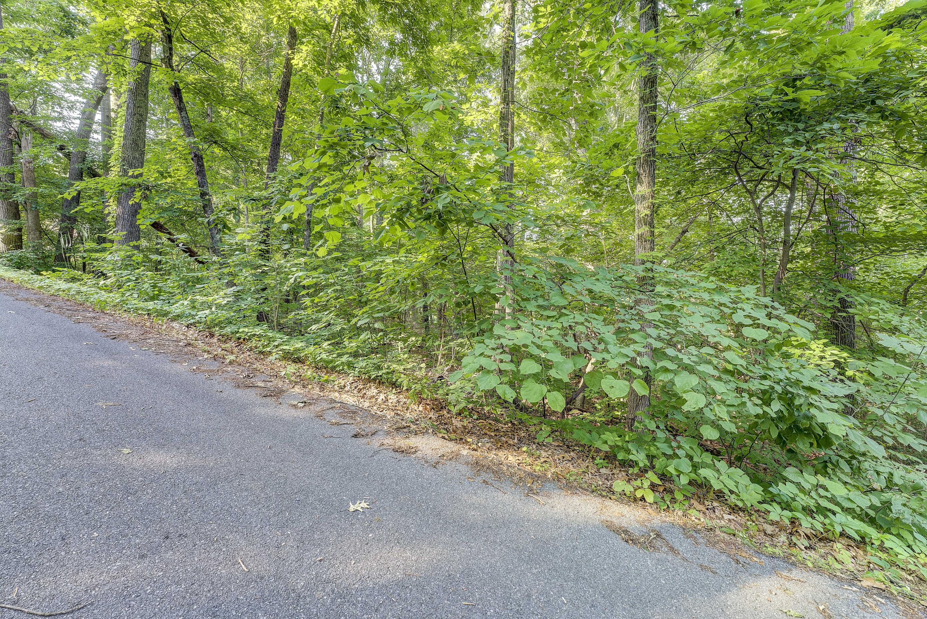 Tbd Highland Road, Unit 16 Jonesborough, TN 37659 - Photo 15 of 19 highland-ground-1