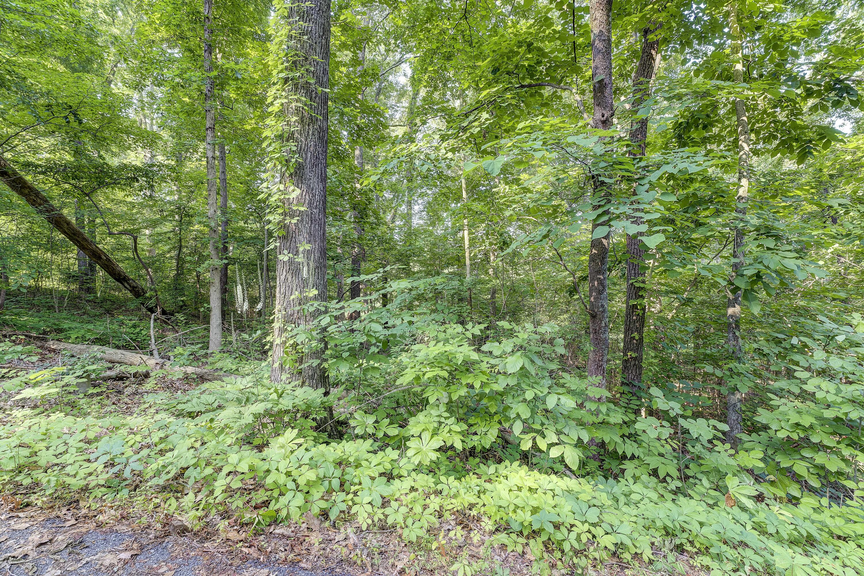 Tbd Highland Road, Unit 16 Jonesborough, TN 37659 - Photo 16 of 19 highland-ground-2