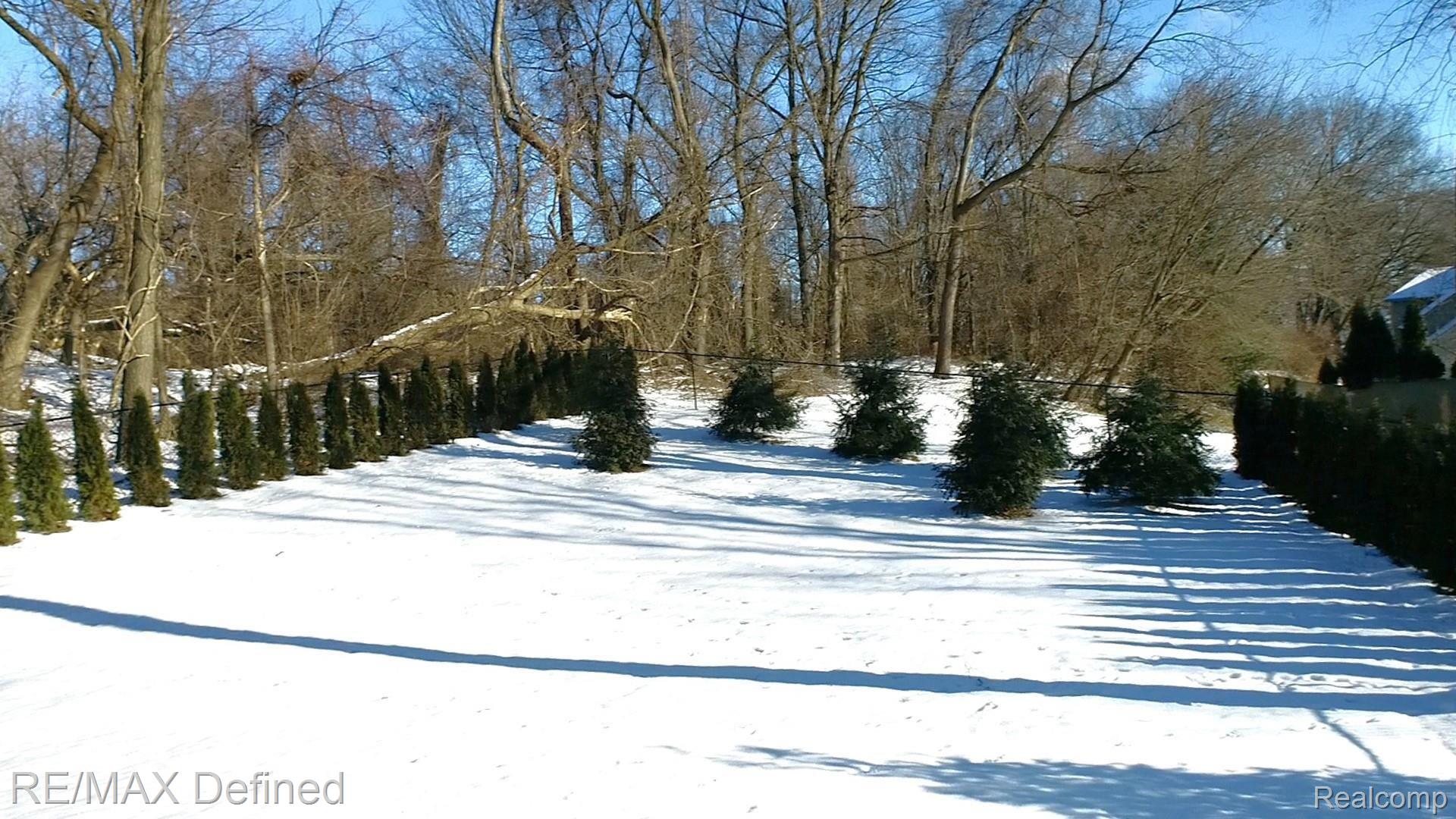 6553 Orion Road Rochester, MI 48306 - Photo 22 of 25 Beautiful Landscaping