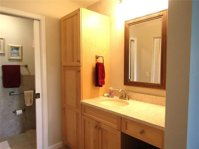 a bathroom with a sink vanity and a mirror