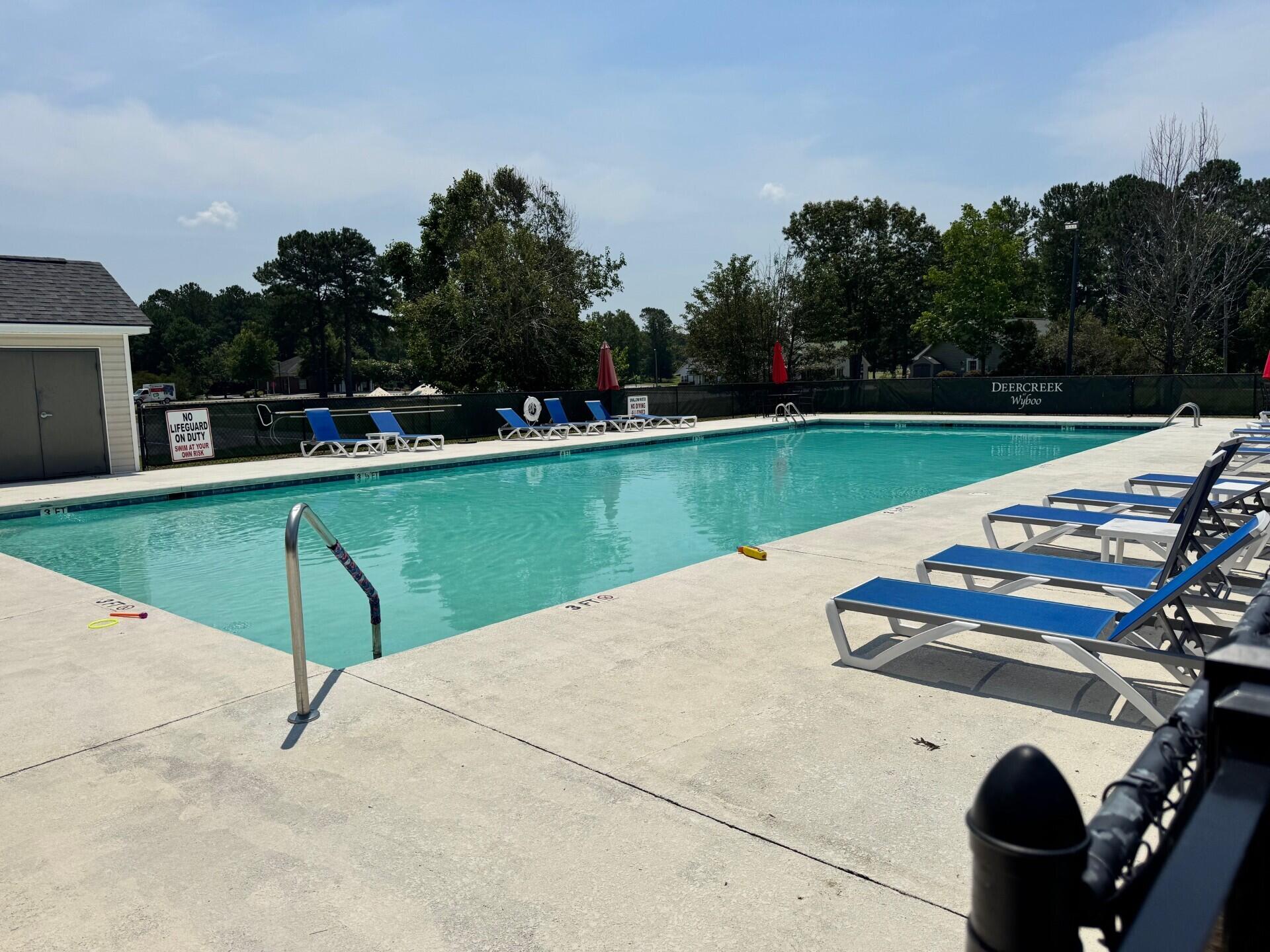 1000 Par Three Court Manning, SC 29102 - Photo 2 of 21 pool