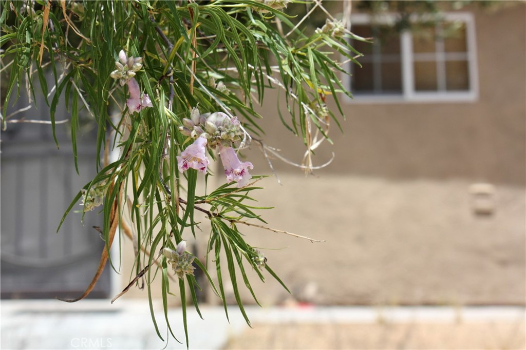 2029 Wamego Road Landers, CA 92285 - Photo 35 of 48