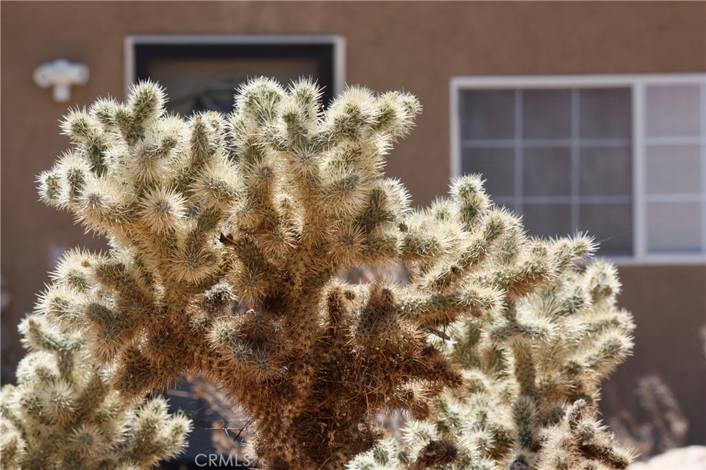 2029 Wamego Road Landers, CA 92285 - Photo 36 of 48