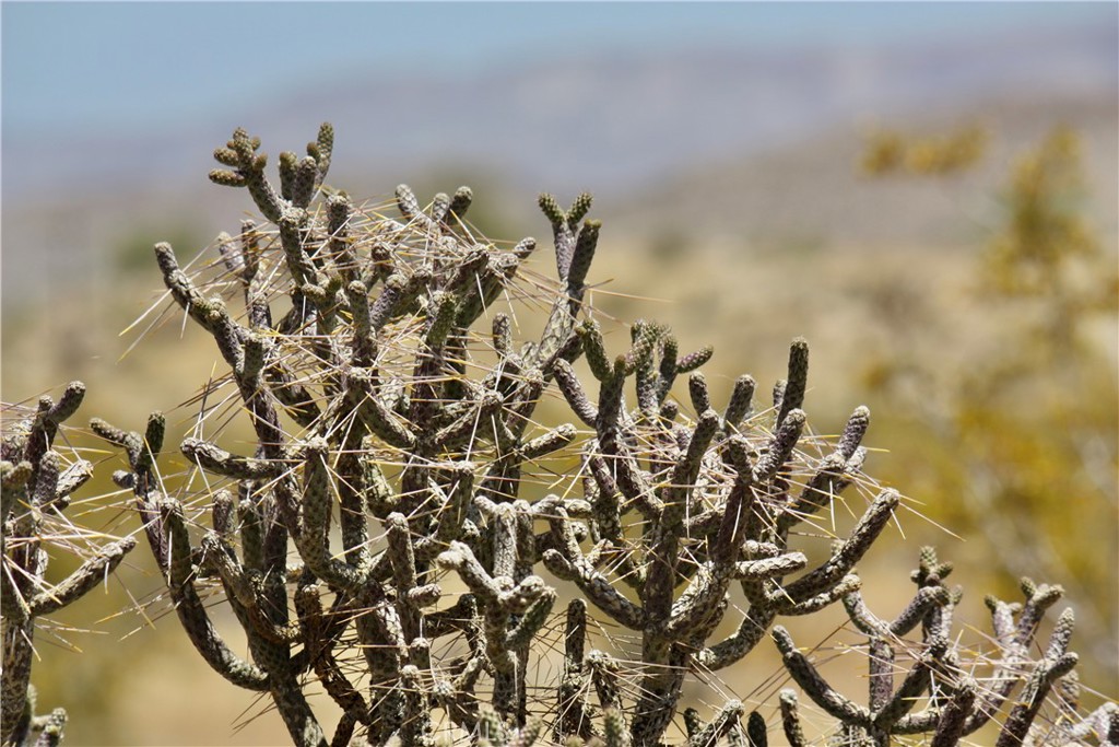 2029 Wamego Road Landers, CA 92285 - Photo 37 of 48