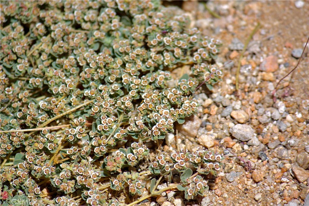 2029 Wamego Road Landers, CA 92285 - Photo 38 of 48