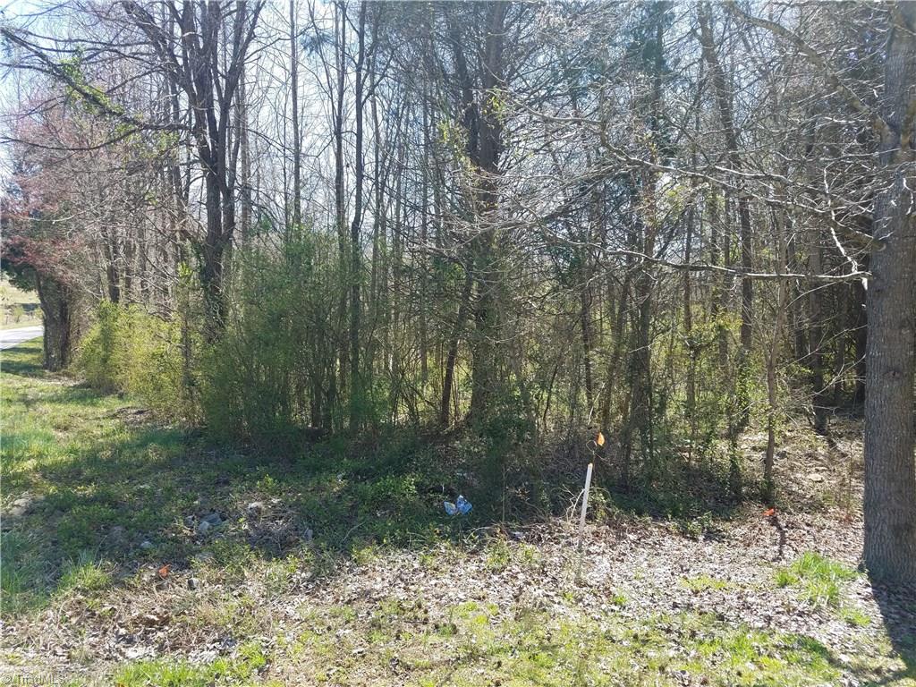 0 Dulin Road Mocksville, NC 27028 - Photo 3 of 10