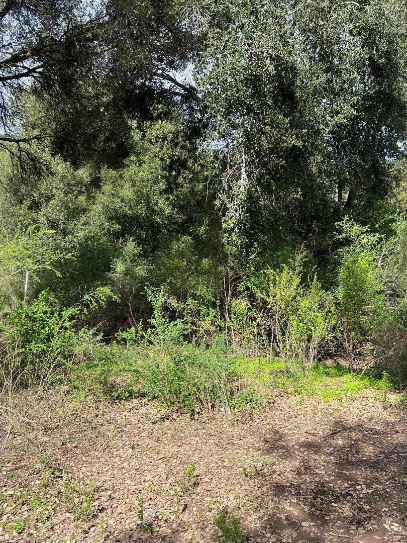 18445 Black Road Los Gatos, CA 95033 - Photo 9 of 11