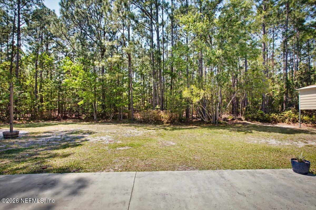 96235 Sweetbriar Lane Yulee, FL 32097 - Photo 33 of 42 Back Yard