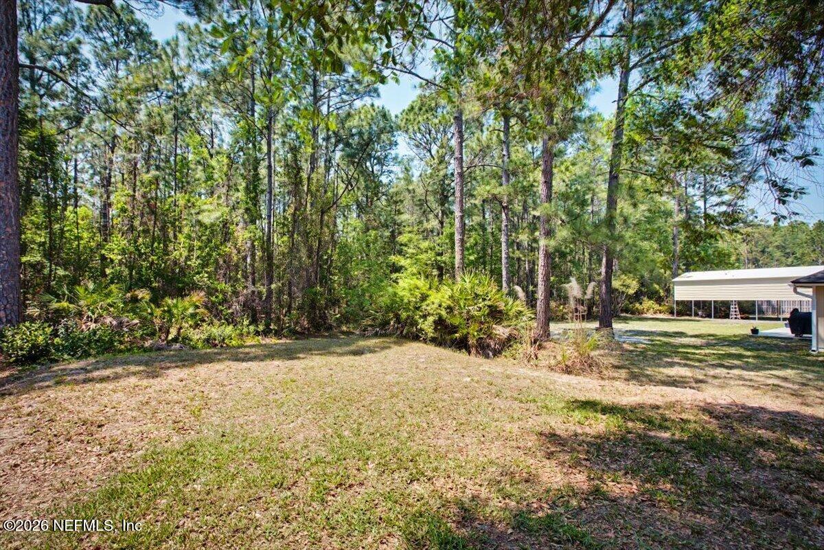 96235 Sweetbriar Lane Yulee, FL 32097 - Photo 38 of 42 Backyard