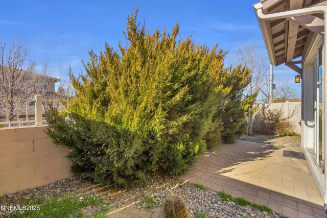 a view of a backyard with plants