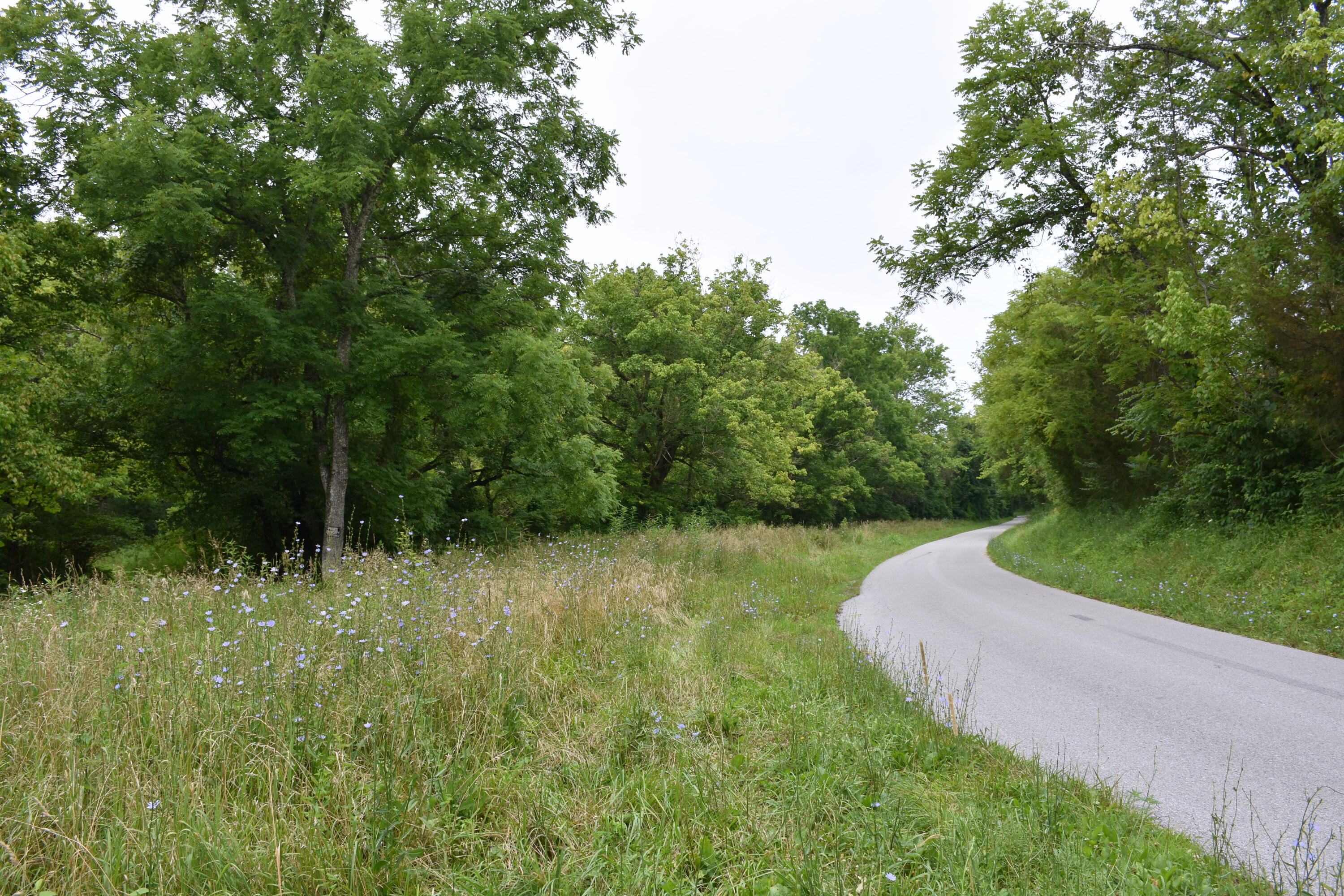 1540 Snag Creek Road Foster, KY 41043 - Photo 1 of 11