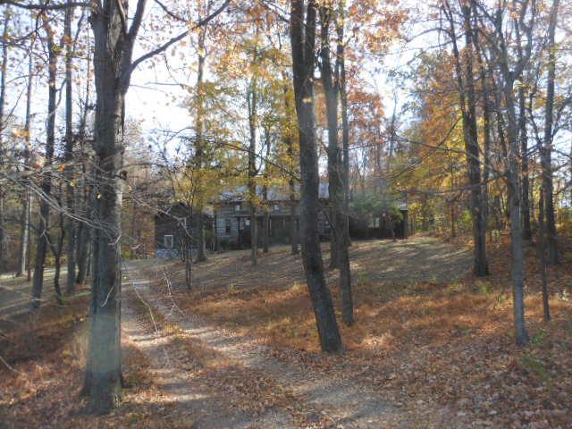 3705 Oakland Road Springfield, TN 37172 - Photo 1 of 15 a view of a forest filled with trees