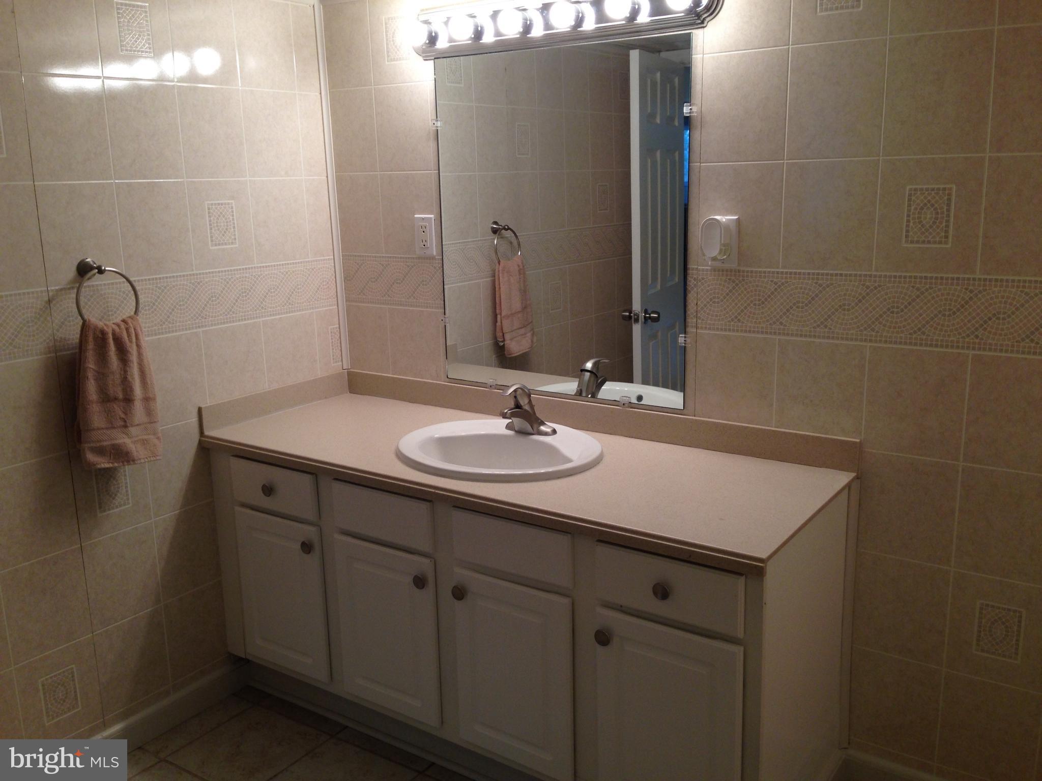 2701 Emerald Road Baltimore, MD 21234 - Photo 19 of 22 Basement Bath