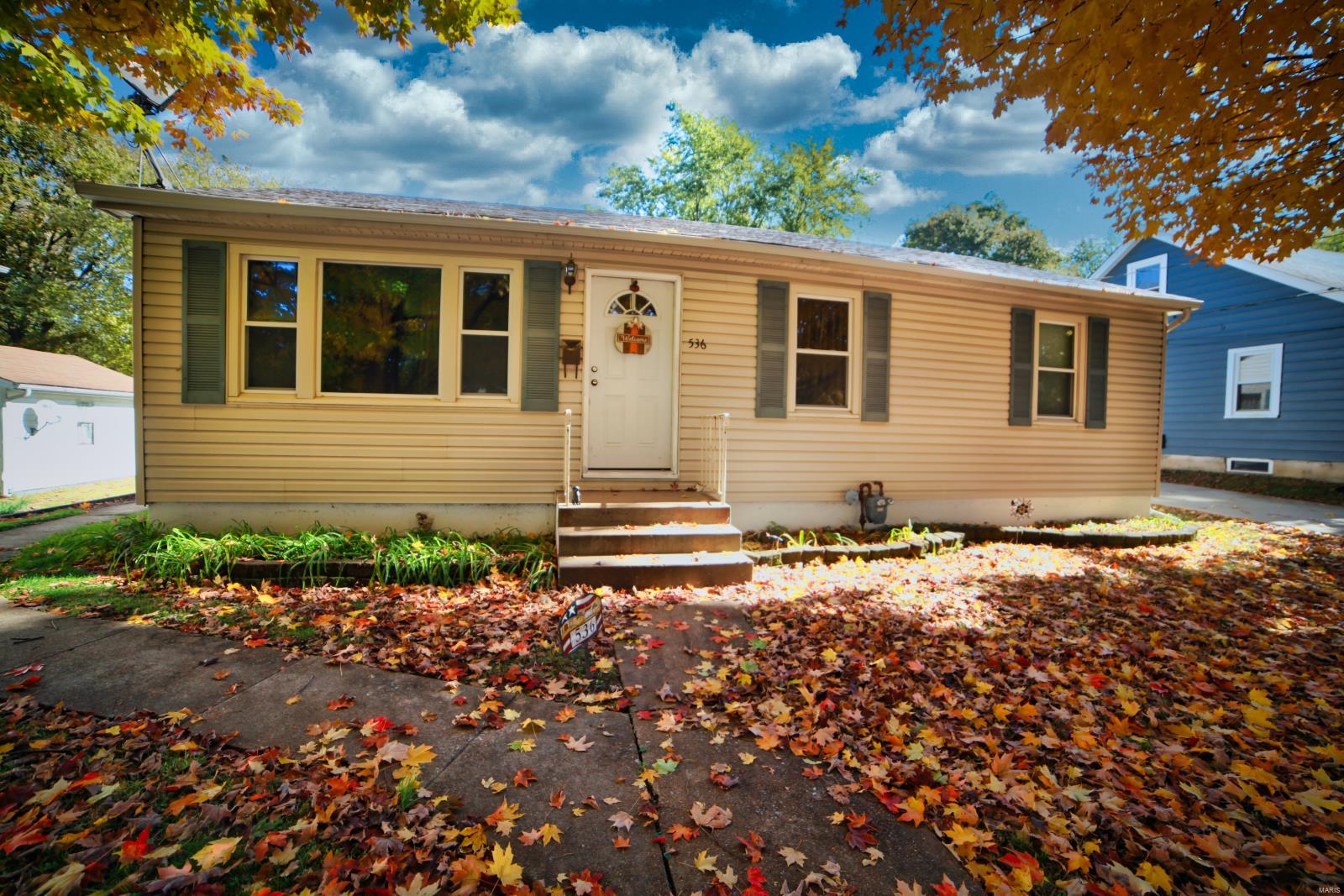 536 South Main Street Waterloo, IL 62298 - Photo 1 of 21 Gallery Image 1