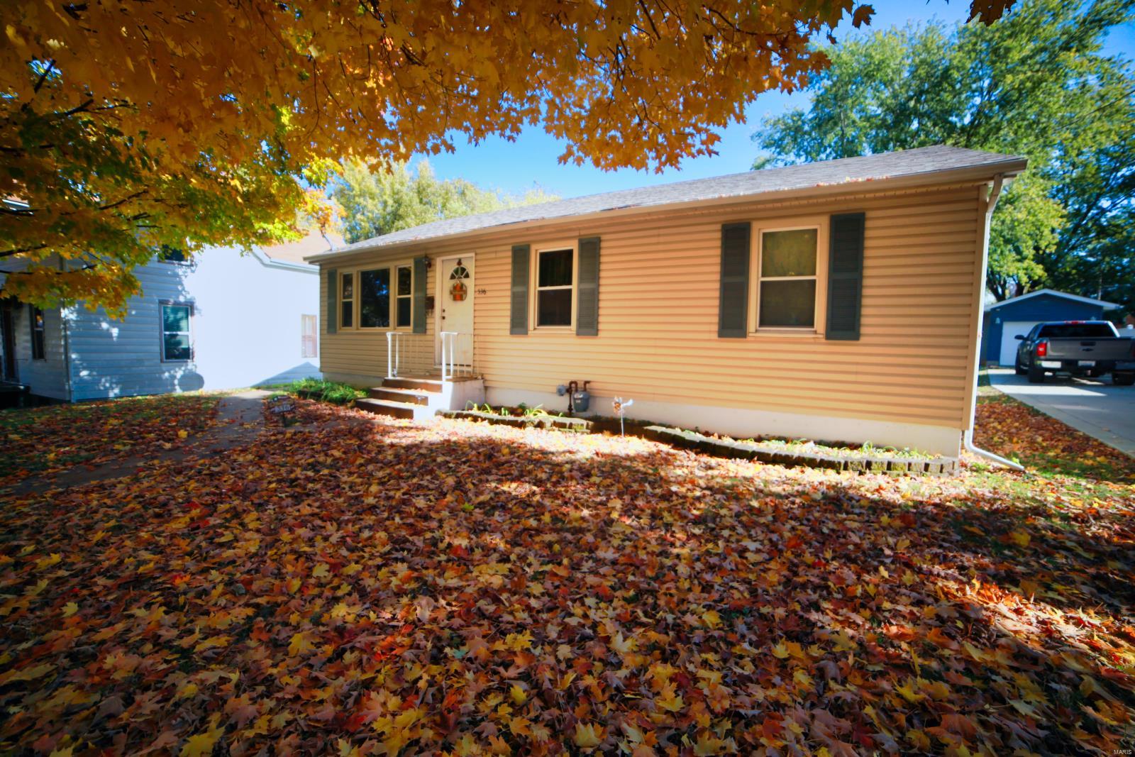 536 South Main Street Waterloo, IL 62298 - Photo 2 of 21 Gallery Image 2